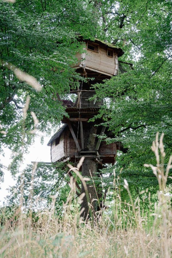 Cabane Perchee Dans Les Arbres Saint-Hilaire-en-Morvan Экстерьер фото