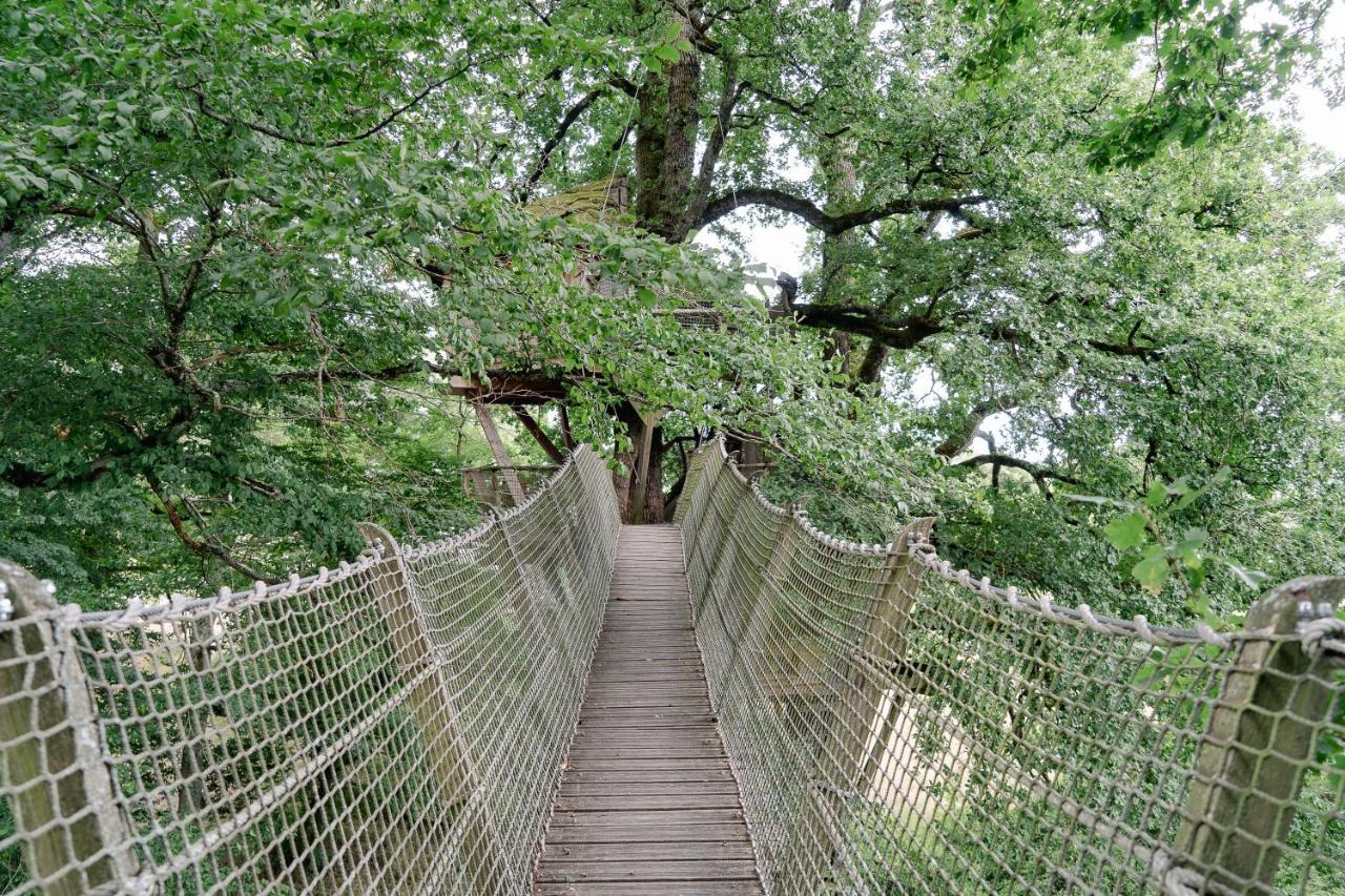 Cabane Perchee Dans Les Arbres Saint-Hilaire-en-Morvan Экстерьер фото
